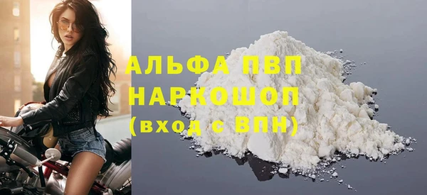соль ск Дмитриев