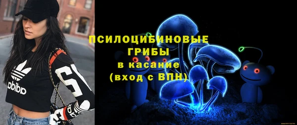 соль ск Дмитриев