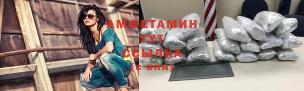 молекула духа Дмитровск