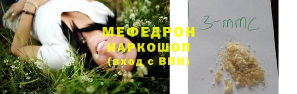 соль ск Дмитриев