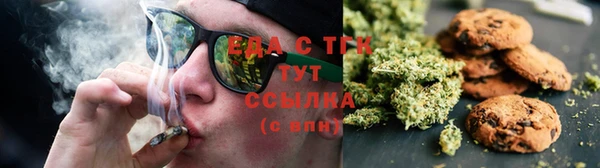 соль ск Дмитриев