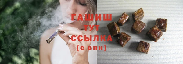 соль ск Дмитриев
