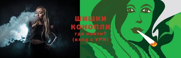 молекула духа Дмитровск