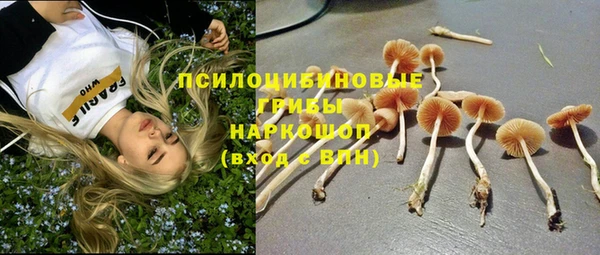 соль ск Дмитриев