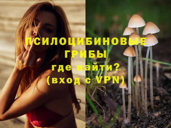 молекула духа Дмитровск