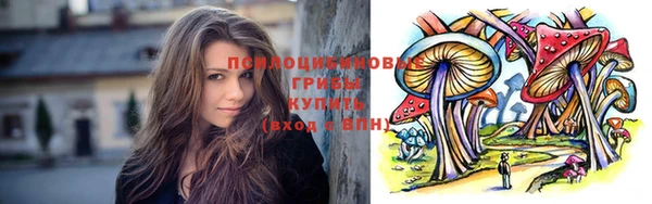 jwh Дмитров