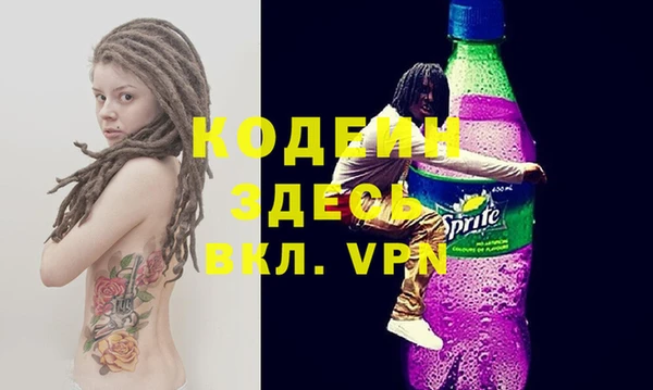 соль ск Дмитриев