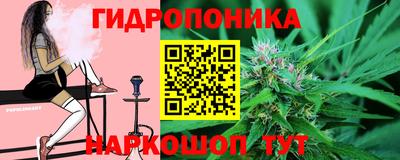 прущие грибы Владимир
