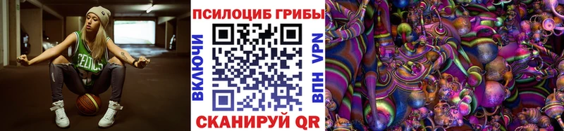наркотики  Курган  Галлюциногенные грибы мицелий 